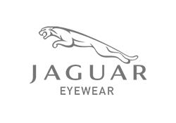Jaguar glasses